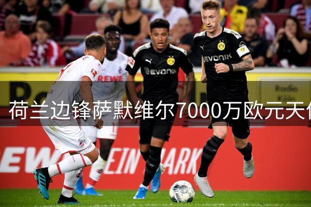 荷兰边锋萨默维尔7000万欧元天价转会利雅得新月